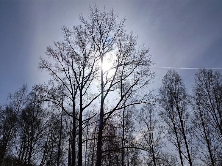 Новый сквер имени Юрия Мансурова в Екатеринбурге увековечит героев медицины