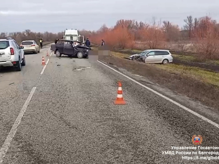 В Чернянском округе водитель выехал на встречку и спровоцировал ДТП