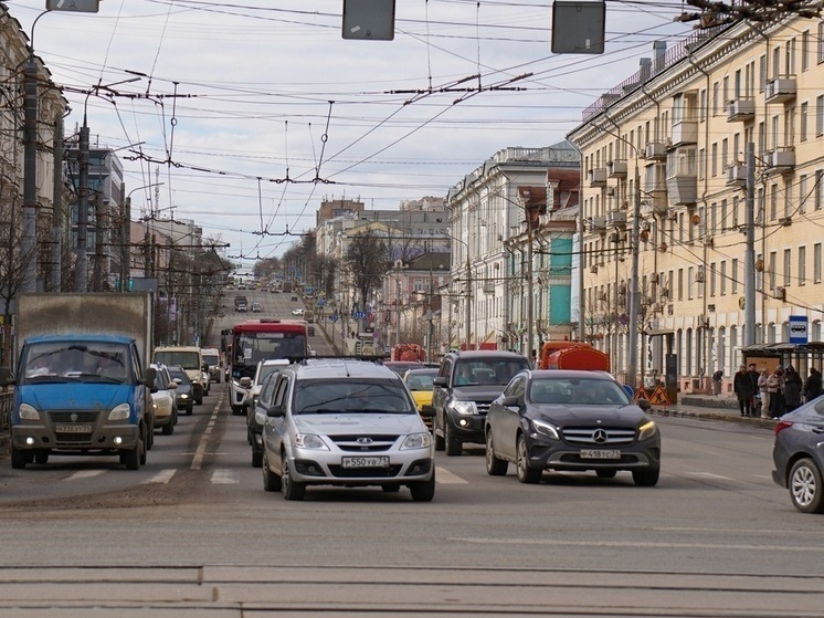 На Первомайской в Туле запретят остановку и стоянку из-за спила опасных деревьев