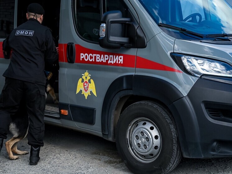 В Челябинске задержали мужчину с патронами от пистолета