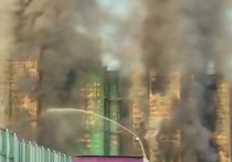 Число жертв страшного пожара в высотном жилом комплексе в Гонконге выросло как минимум до 13 человек