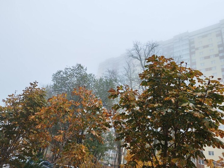 В Самарской области 27 ноября будет переменная облачность и мороз до −5  градусов