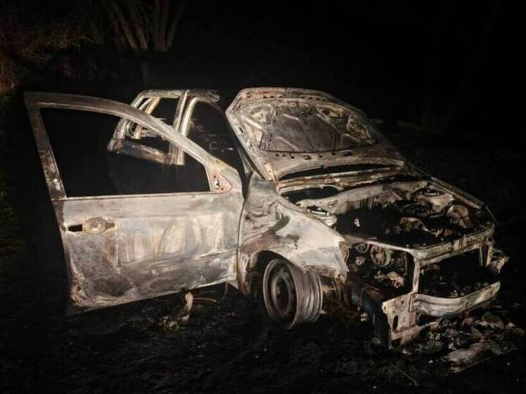 Ревность довела до поджога: в Сосновском округе задержан подозреваемый в сожжении автомобиля
