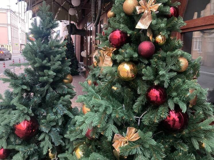 Баснословные цены на елки и Дедов Морозов установили в Петербурге