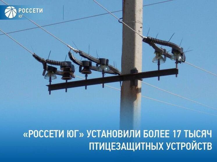 В Калмыкии установили более 15 тысяч устройств для защиты птиц