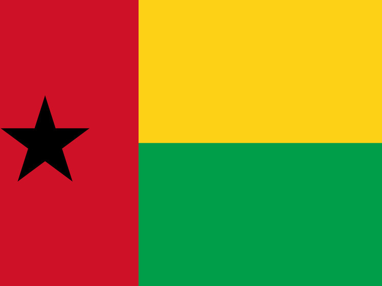 AFP: в Гвинее-Бисау военное объявили о контроле над страной