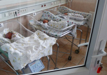 Парламентарии одобрили выплаты пенсии «посмертным» детям, то есть тем, кто родился через 300 дней и позже после кончины своих отцов