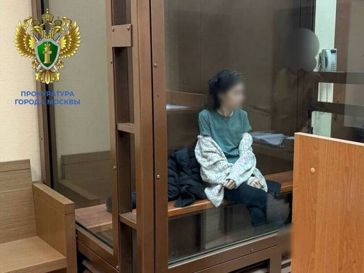 Жительницу Москвы, которая убила сына молотком, заключили под стражу