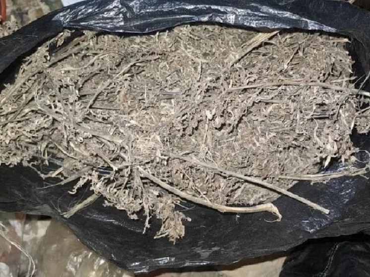 Жителю Волгоградской области грозит 10 лет лишения свободы за хранение марихуаны