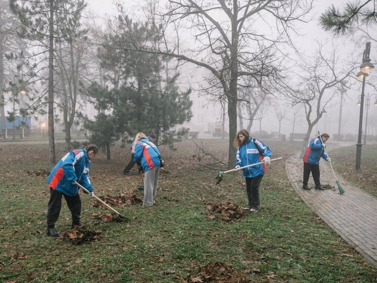 Студенческие отряды ДНР участвуют в благоустройстве улиц Мариуполя
