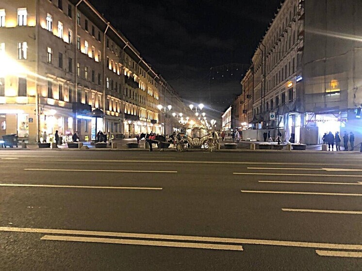 На Невском проспекте снова заметили кареты вопреки планам их запретить