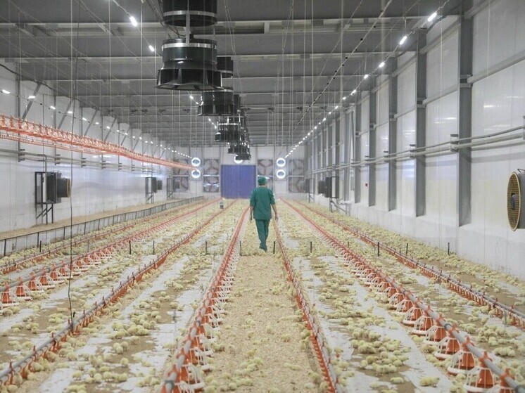 Ярославская область вошла в топ-5 регионов по приросту производства сельхозпродукции