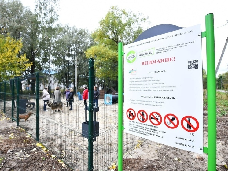 В Ярославле появилось две площадки для выгула собак