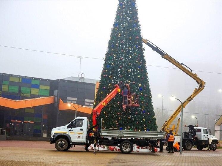В Пущино установили городскую елку