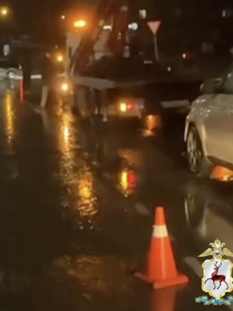 В Нижегородской области 11-летнего мальчика переехали две "Кии", он умер