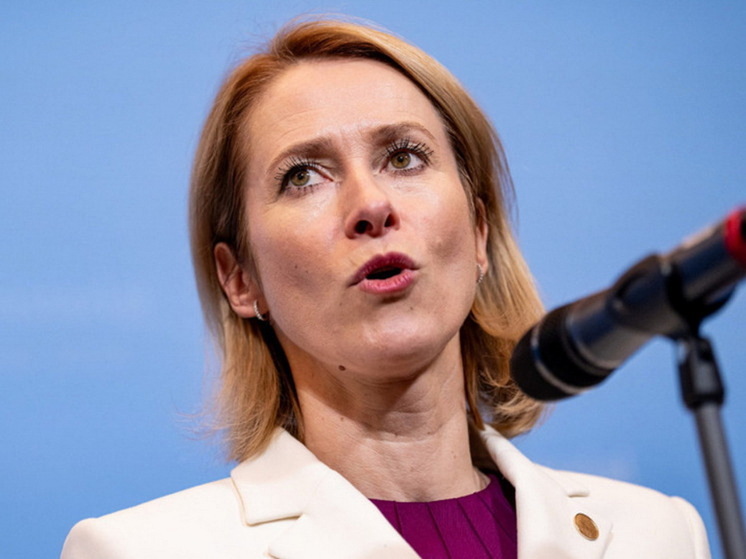 Депутат Госдумы Алексей Чепа назвал Каллас позором для Европы