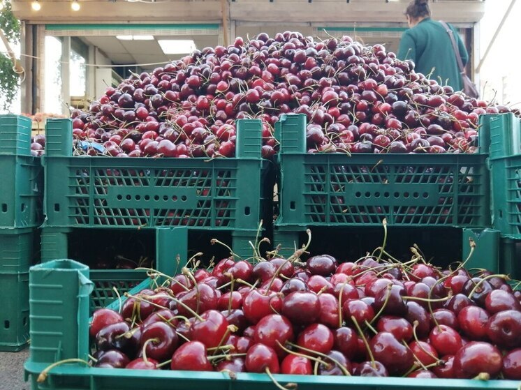 Багратионовских садоводов поймали на использовании пестицидов