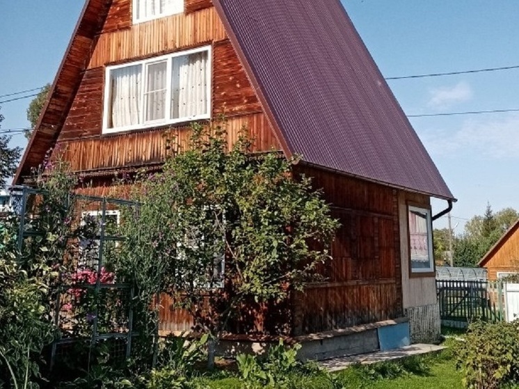 Стал известен самый быстрый оператор связи на дачах Подмосковья