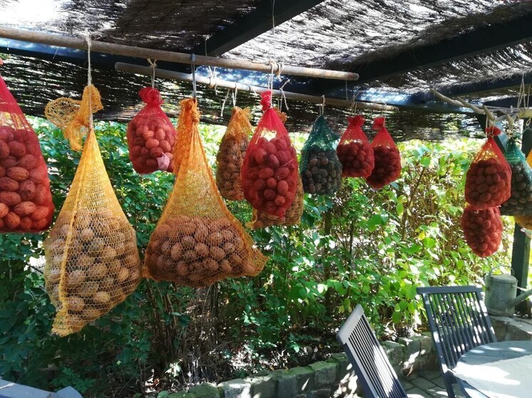 За 6 дней в Калининград привезли более 41 тысячи тонн растительных продуктов