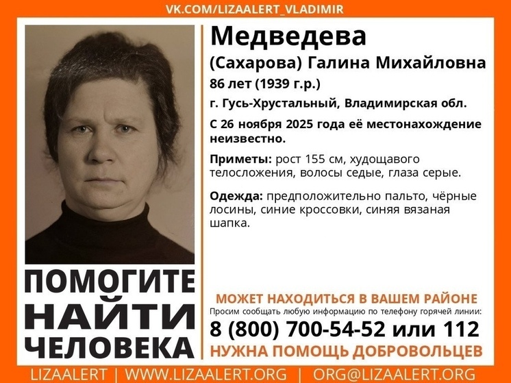 Стартовали поиски пропавшей во Владимирской области долгожительницы