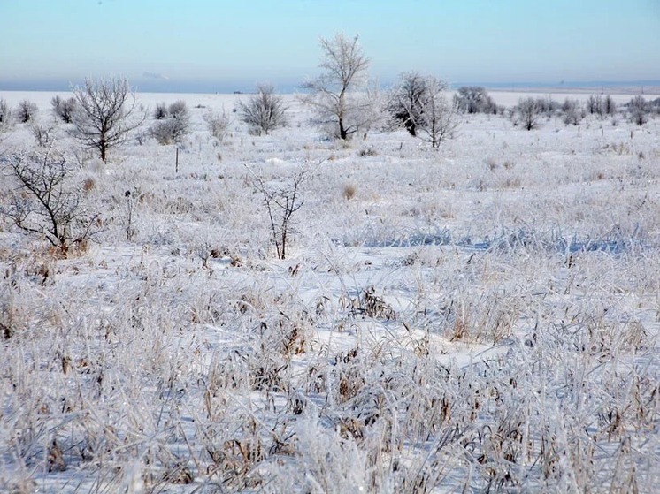 Завтра приметы расскажут о погоде в Калмыкии в декабре