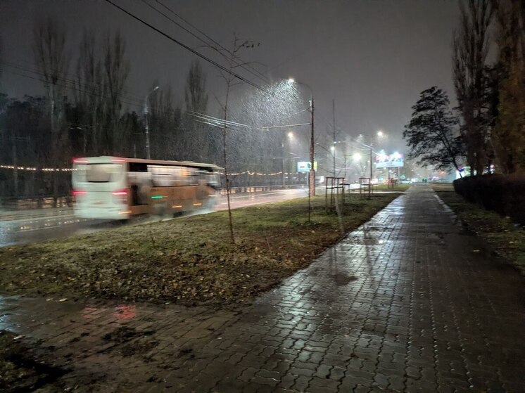 Туманом и дождем запомнится воронежцам 27 ноября