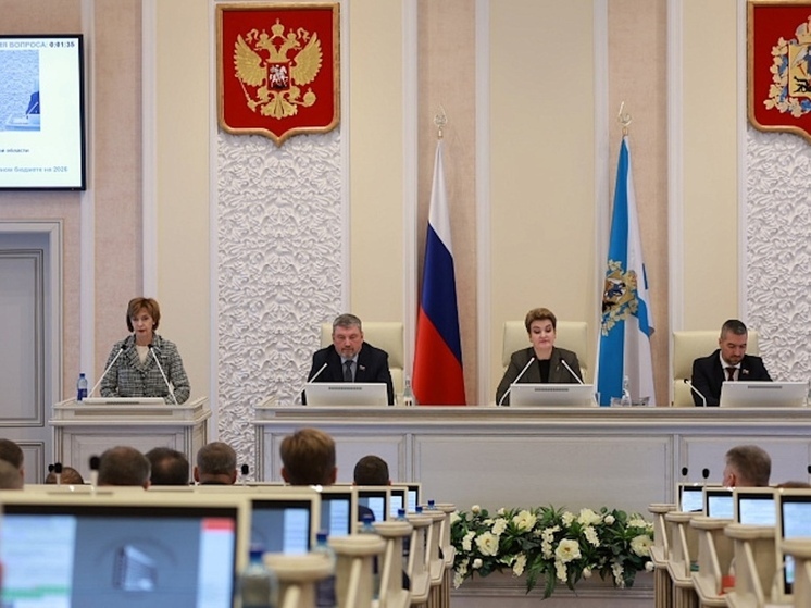 Архангельские депутаты приняли областной бюджет на 2026 год