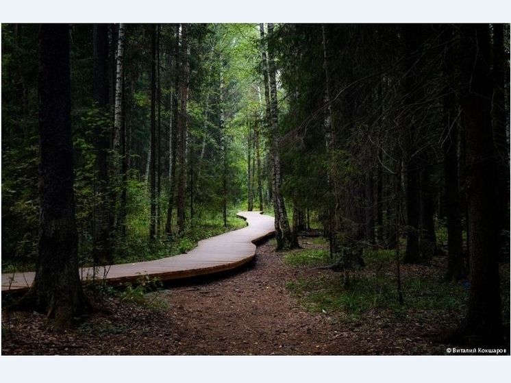 В Перми открыты обновленные спортплощадки в Черняевском лесу