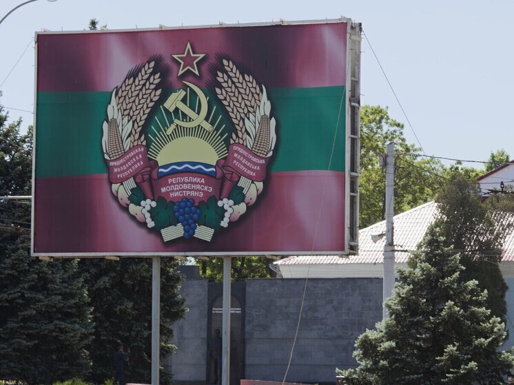 МИД Приднестровья обвинило силовиков Молдавии в попытке сорвать выборы в парламент страны