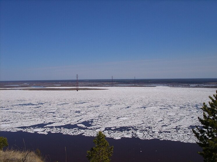 Раскрыто, сколько федеральных средств выделят на Ленский мост