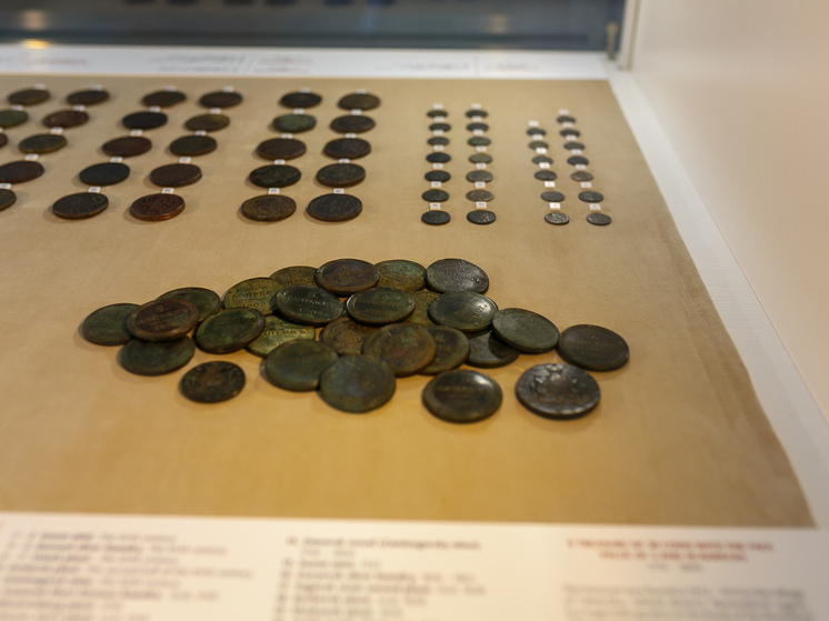 Новосибирец оценил советскую копейку в полмиллиона рублей