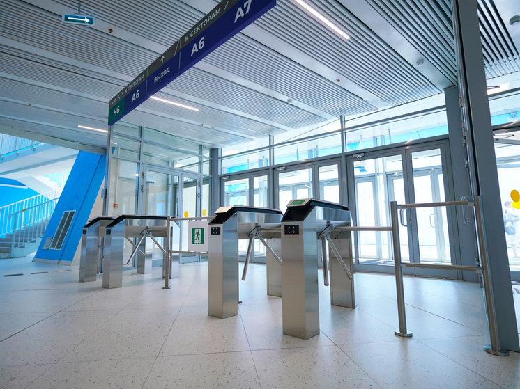 Иностранец приговорен к 7 годам за взятку пограничникам в новосибирском аэропорту