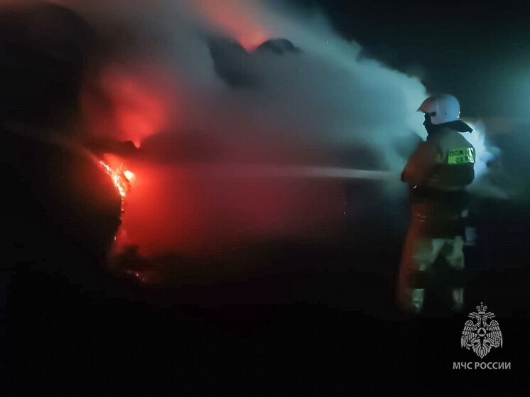 Поджигатель спалил у жителей Боградского района почти 80 тонн сена