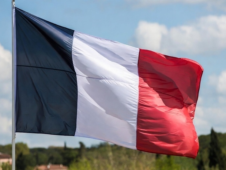 Во Франции не поддержали слова главы генштаба о готовности страны жертвовать детьми ради наказания России