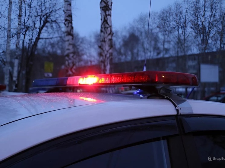 Восьмилетний пешеход оказался под колёсами авто в Томском районе