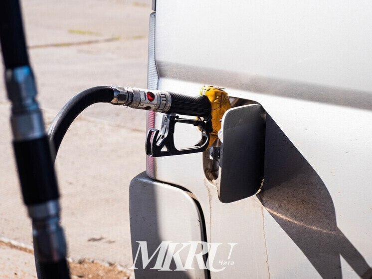 Уголовное дело завели на владельца одной из АЗС в Чите