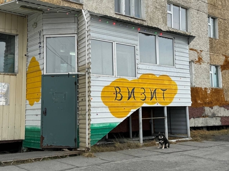 В Якутии вводят штрафы за кормление бродячих животных и нарушение правил отлова