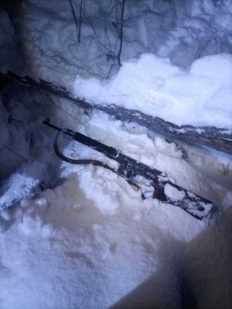 Браконьер застрелил двух лосей в Томском районе: оружие и туши изъяты