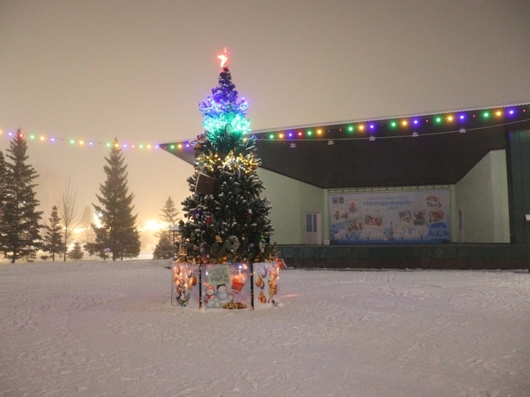 Без катка, но с аттракционами. Как зимой будет работать парк Барнаула «Центральный»