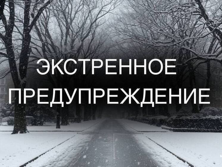 В МЧС предупредили о сильной метели и штормовом ветре на Сахалине
