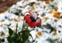 Омск переживает поистине необычную осень — метеорологическая обстановка в регионе выбивается из привычных климатических рамок