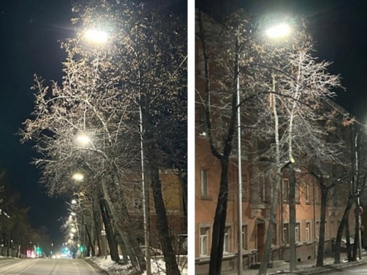 В Петрозаводске продолжают устанавливать уличные светильники