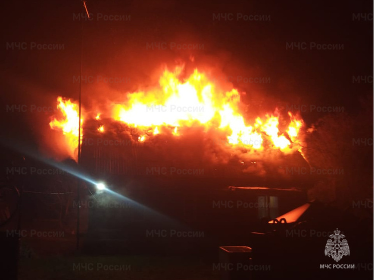 Девять человек тушили пожар в Дзержинском районе