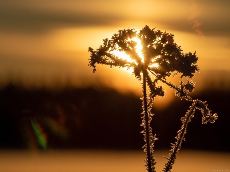 В Карелии похолодает до -15°С