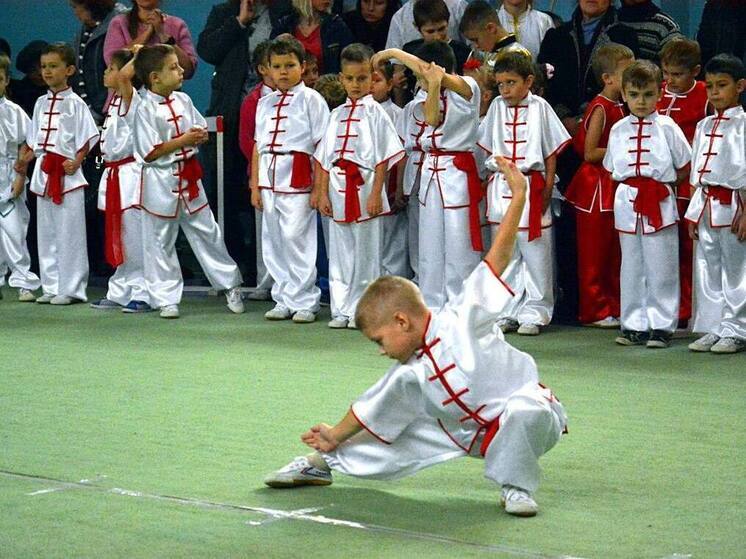 Спортсмены ДНР успешно выступили на Кубке России по ушу