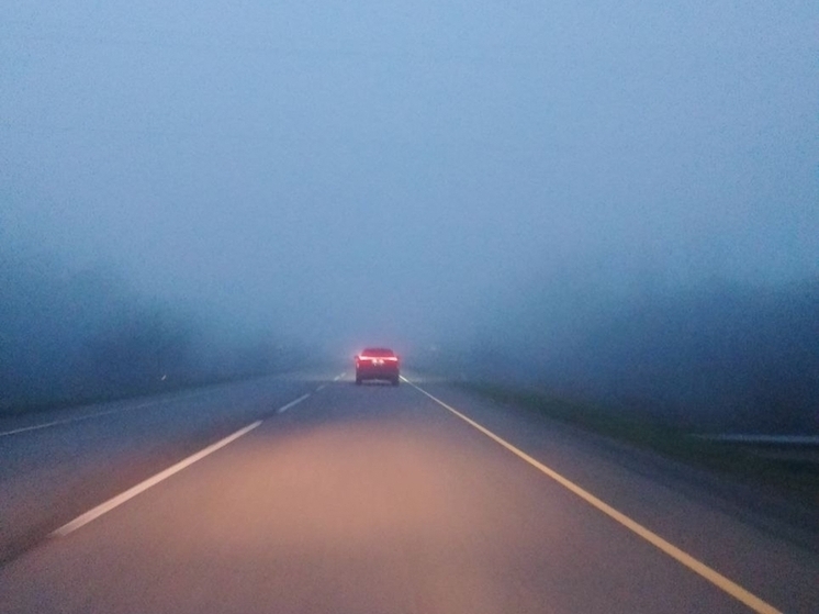 В Ростовской области водителей предупредили о тумане на дорогах
