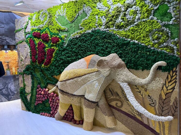 Ставрополье и Чечня представили туристический потенциал на Qatar Travel Mart 2025