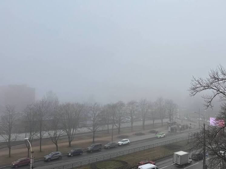 Автомобилистов Петербурга предупредили о плохой видимости на дорогах