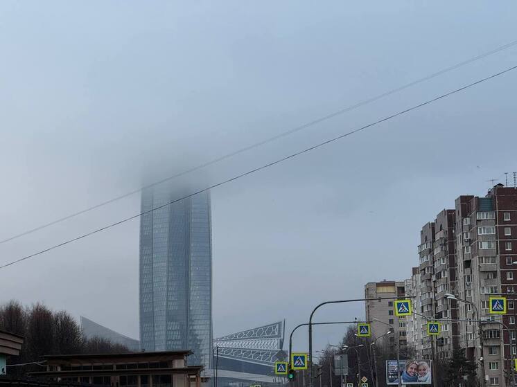 Петербуржцев ждёт серое небо и гололедица на дорогах 27 ноября