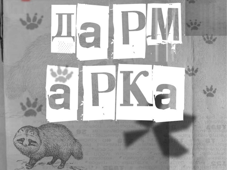 Жителям Петрозаводска предлагают принять участие в обмене ненужных предметов